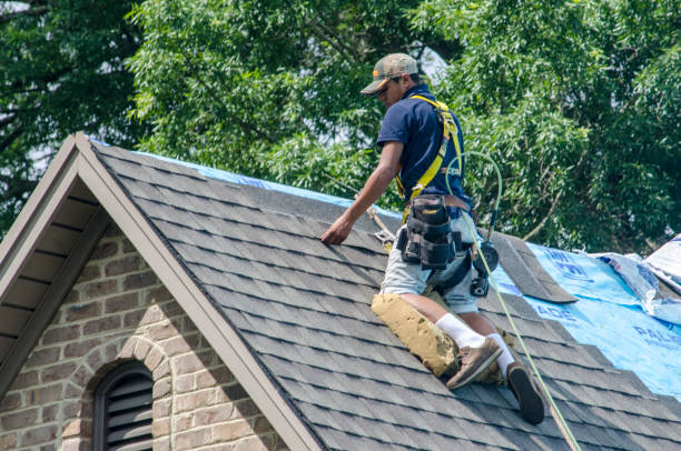 Best Roof Gutter Cleaning  in Towson, MD